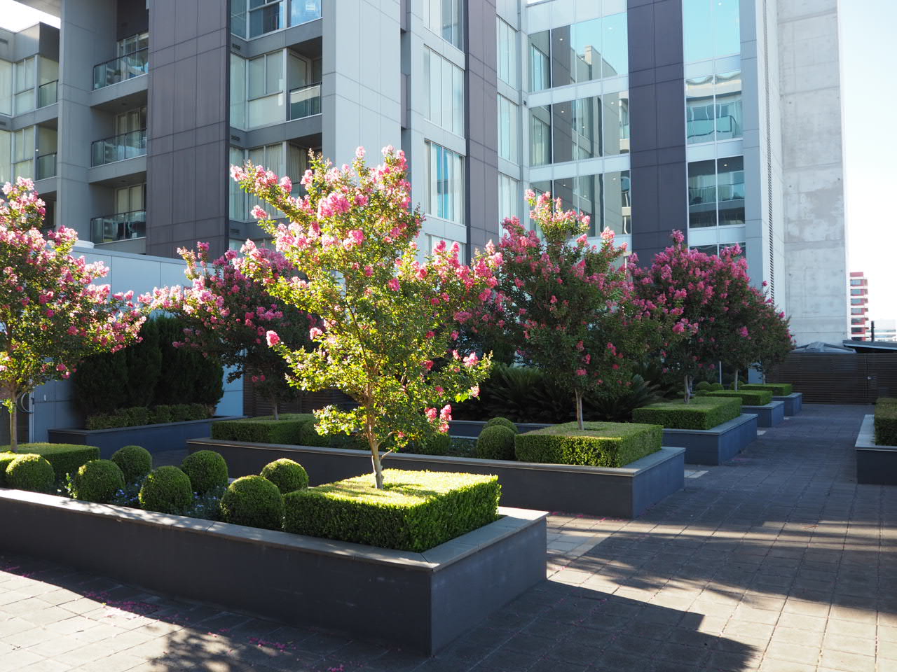  Photograph of Garden West